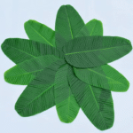Banana Leaf Table Mat & Dining Decor
